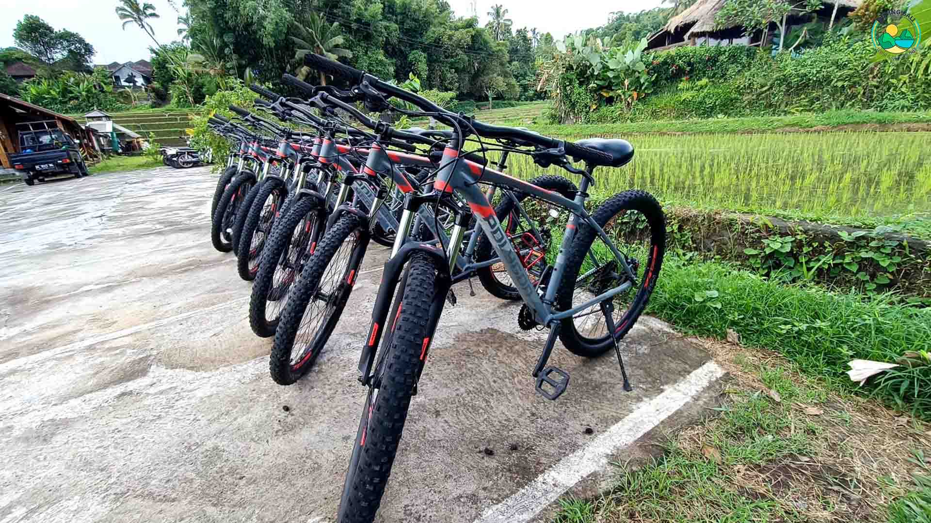 Outingbali - Penyewaan Sepeda Murah di Bali