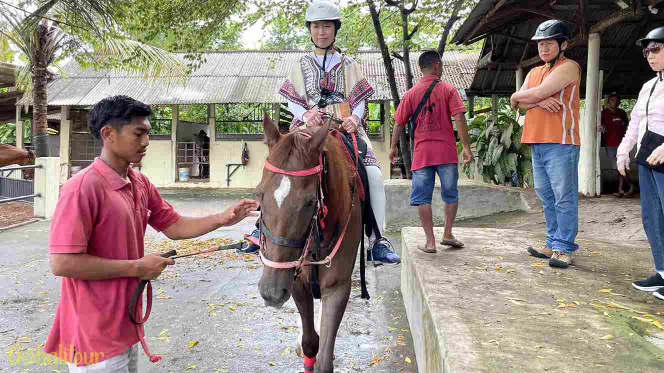 Pemandu berpengalaman Bali horse riding untuk pemula
