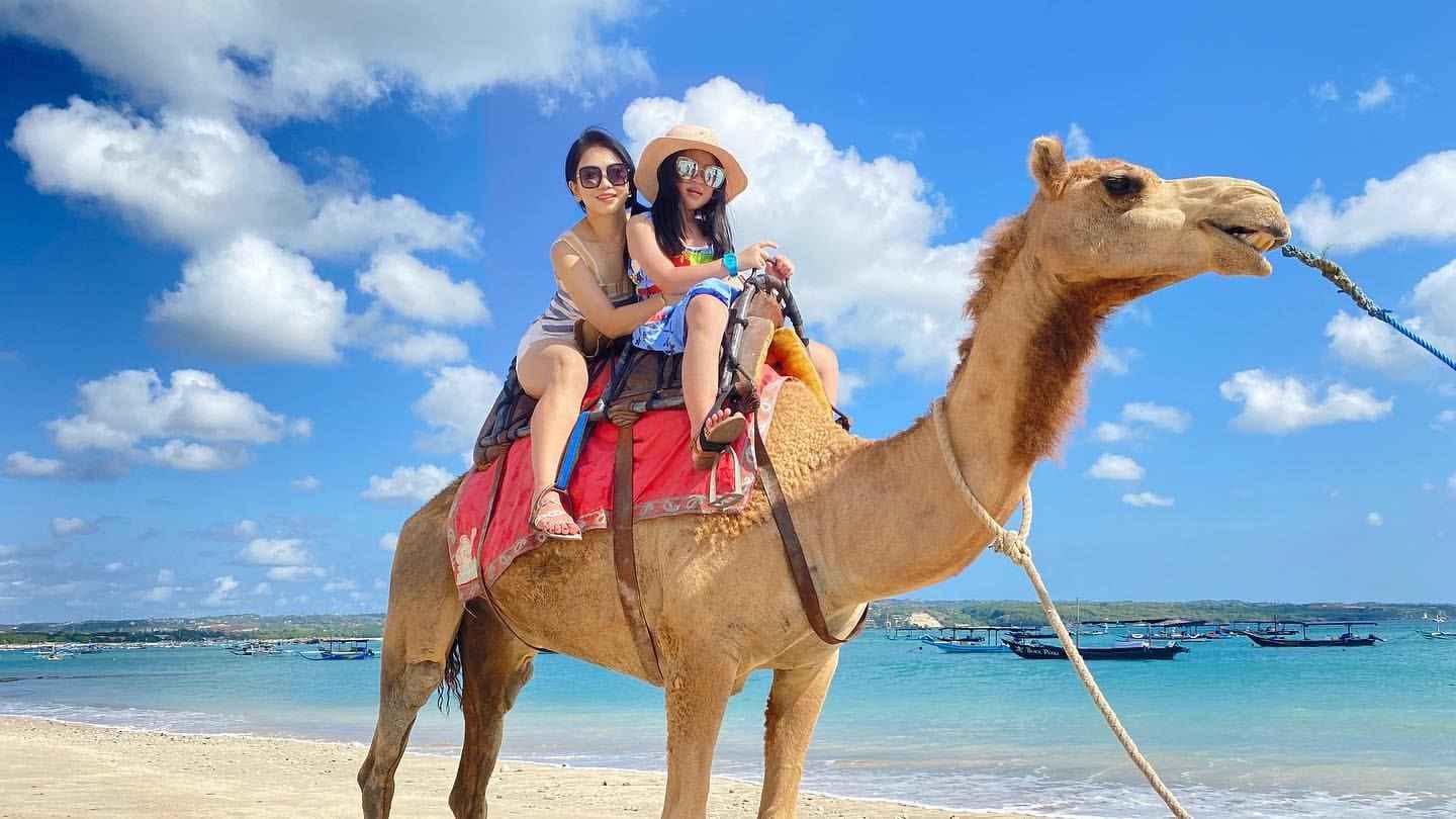Bali Camel Safari