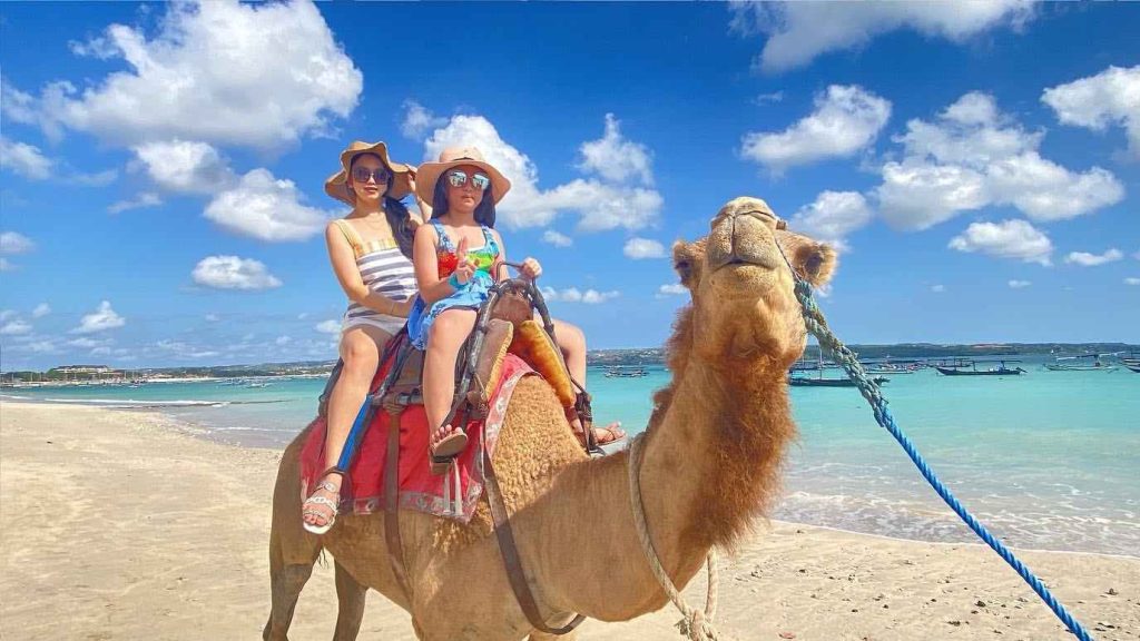 Camel di Bali