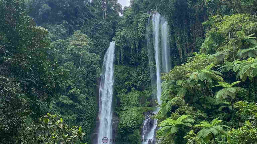 Air Terjun Sekumpul di Bali Utara dengan tujuh aliran air di tengah hutan hijau